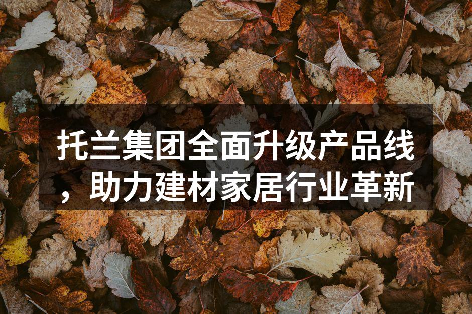 托兰集团新系列环保家具展示
