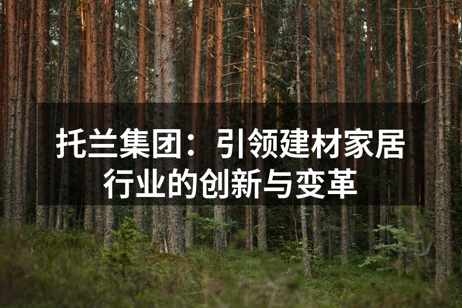 托兰集团新产品展示会现场