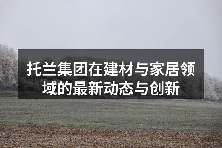 托兰集团新产品展览会现场