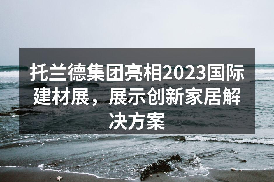 托兰德集团展位吸引了众多参观者